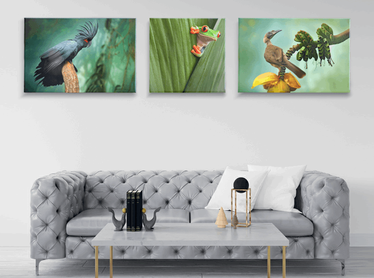 wallpapers